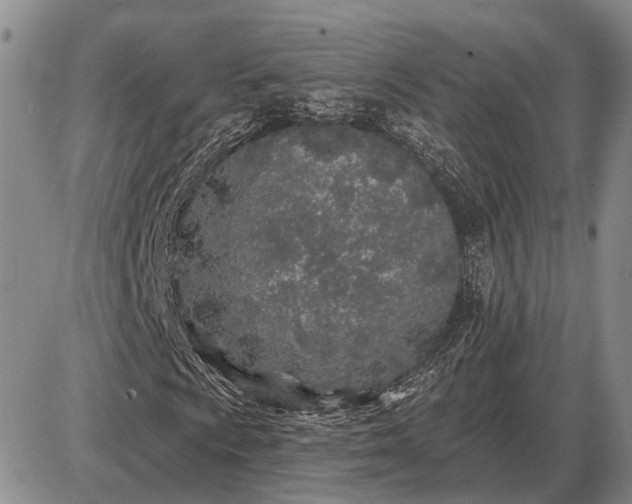 X0000085061009200703191319