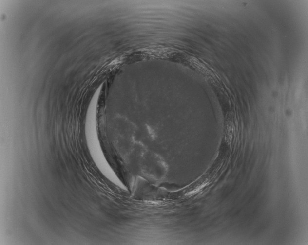 X0000085061010200703191319