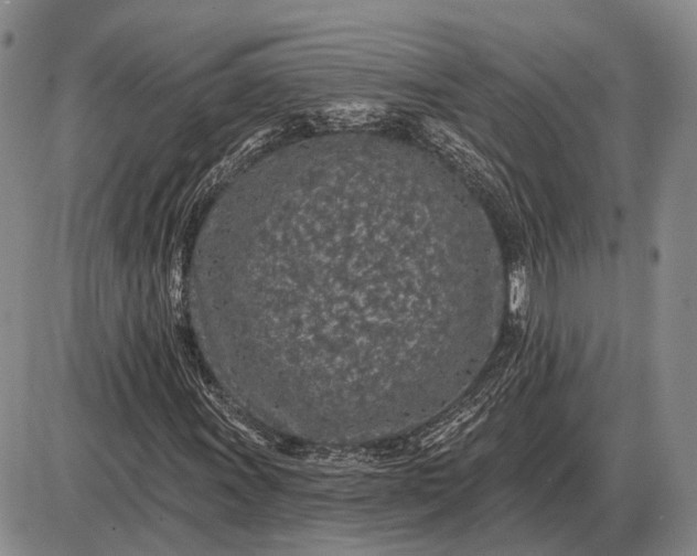 X0000085061011200703191319