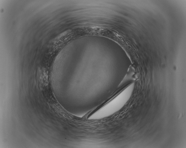 X0000085061013200703191319