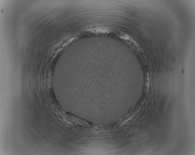 X0000085061014200703191319