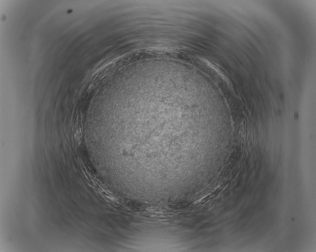 X0000085061015200703191319