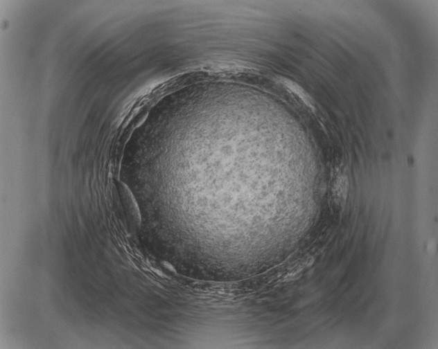 X0000085061016200703191319