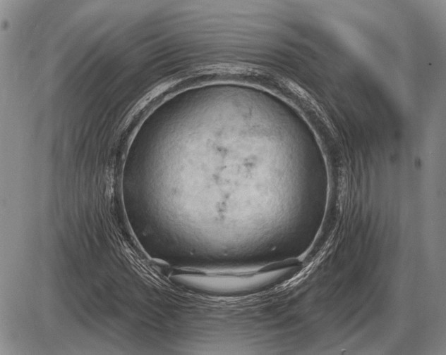 X0000085061017200703191319