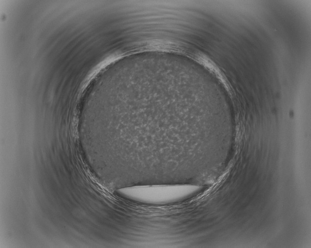 X0000085061019200703191319