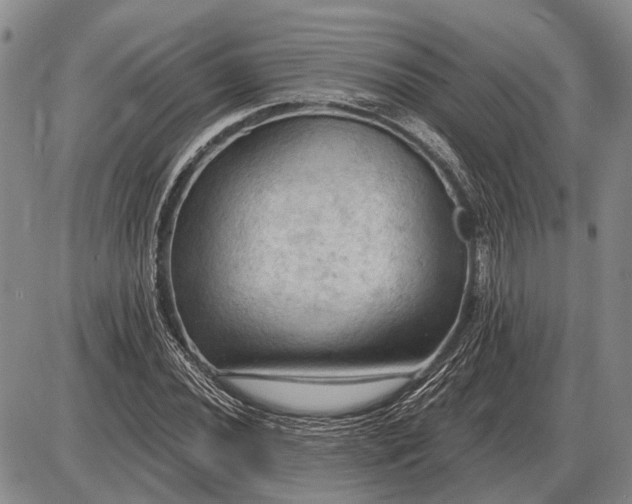 X0000085061020200703191319