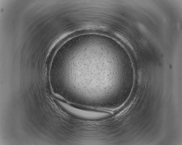 X0000085061021200703191319