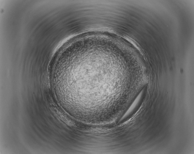 X0000085061022200703191319