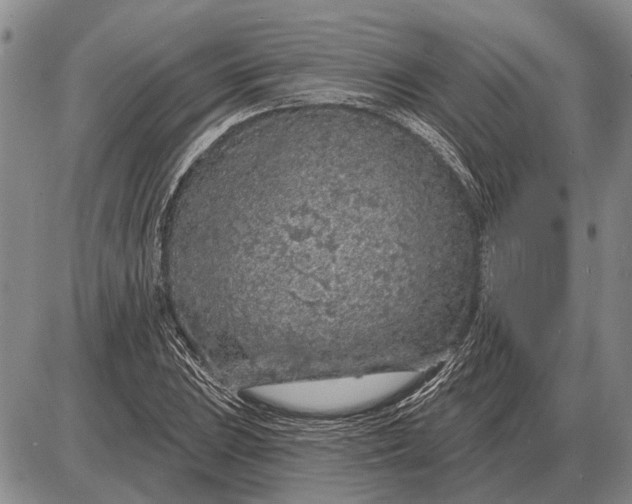 X0000085061023200703191319