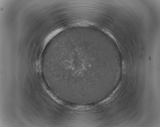 X0000085061026200703191319