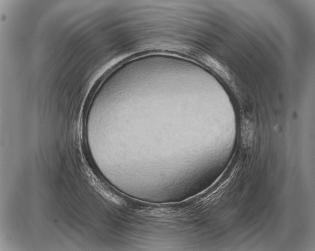 X0000085061028200703191319