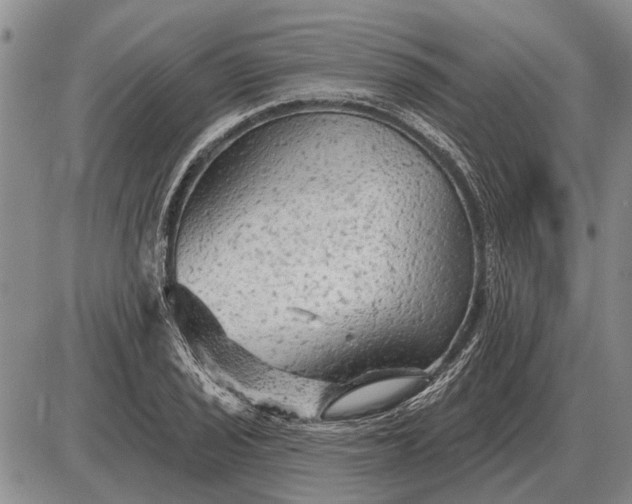 X0000085061029200703191319