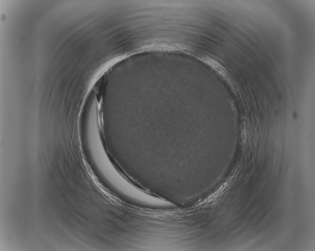 X0000085061030200703191319