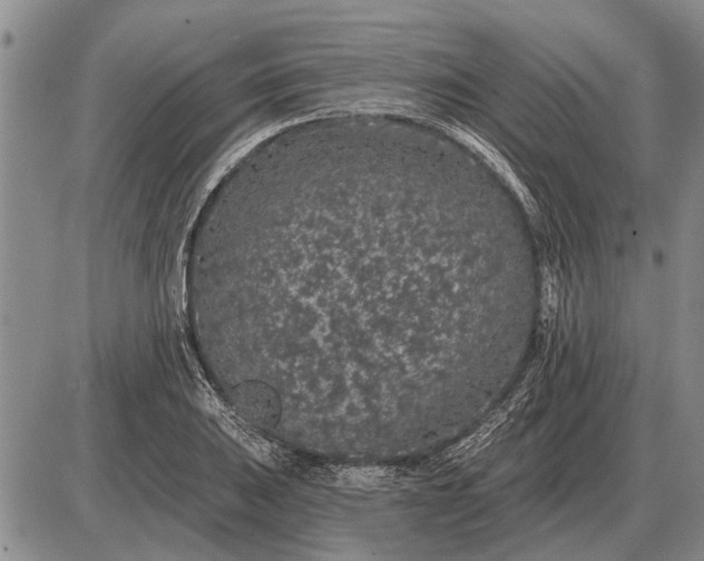 X0000085061031200703191319