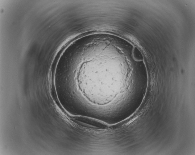 X0000085061032200703191319