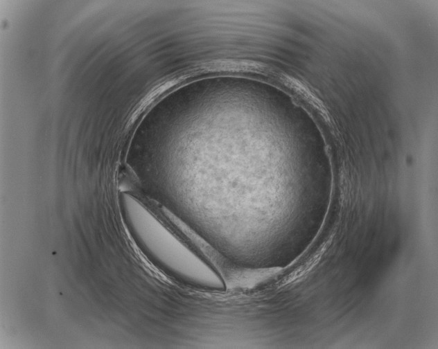 X0000085061033200703191319