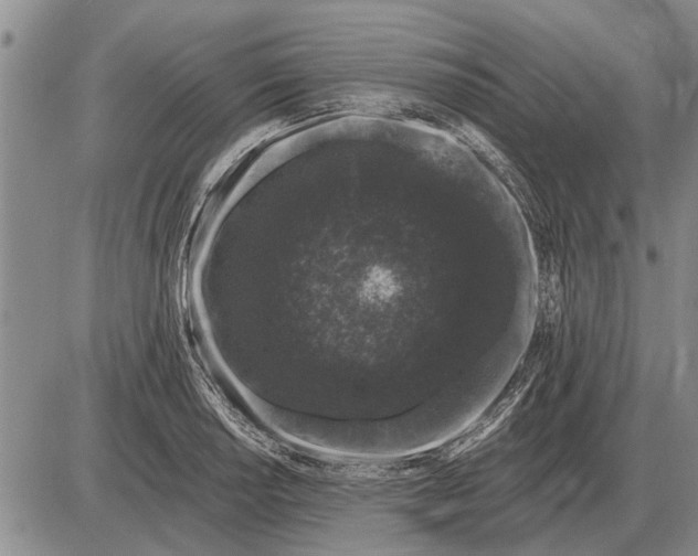 X0000085061034200703191319