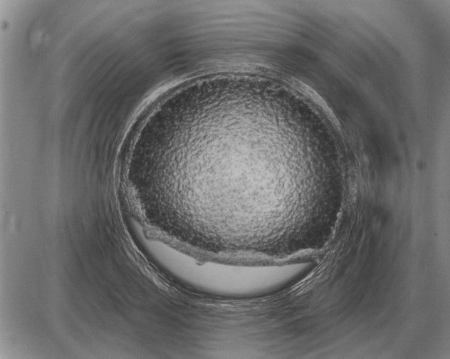 X0000085061035200703191319