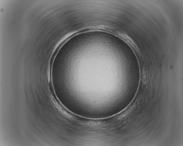 X0000085061036200703191319