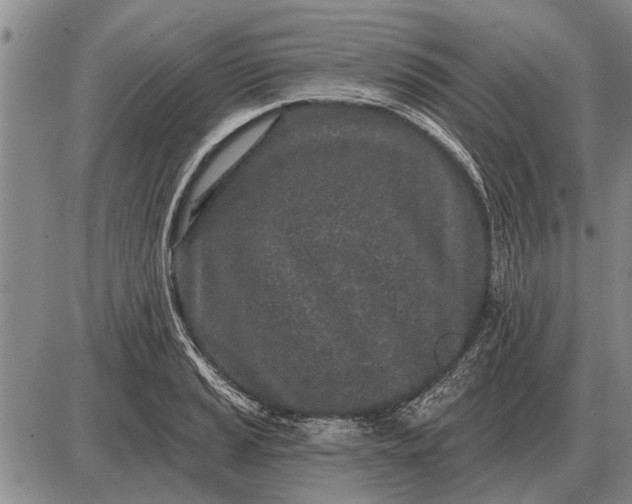 X0000085061037200703191319