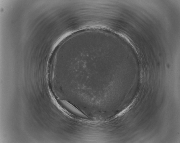 X0000085061038200703191319