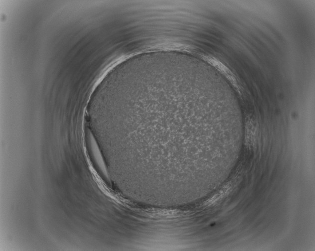 X0000085061039200703191319