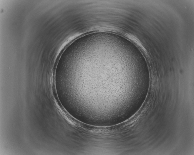 X0000085061040200703191319