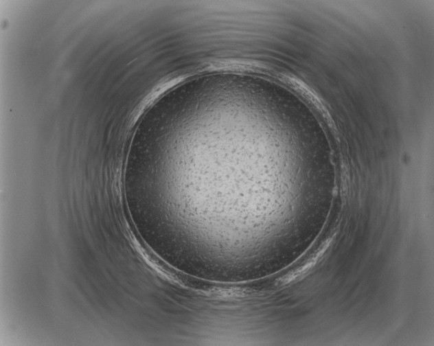 X0000085061041200703191319