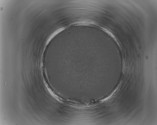 X0000085061042200703191319