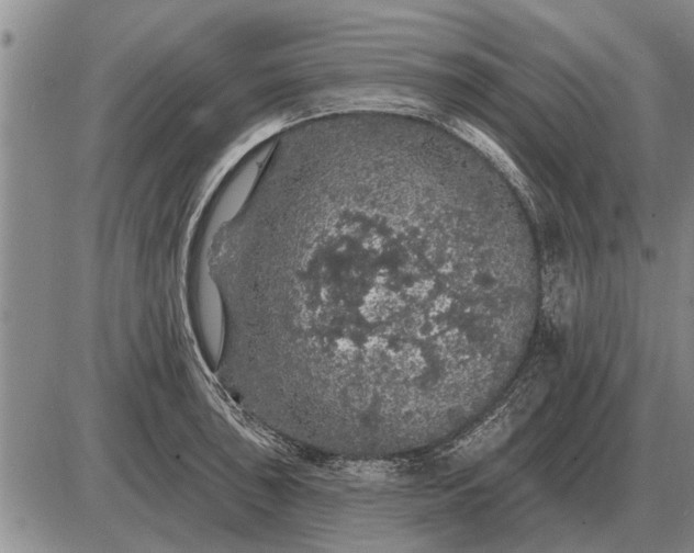 X0000085061043200703191319