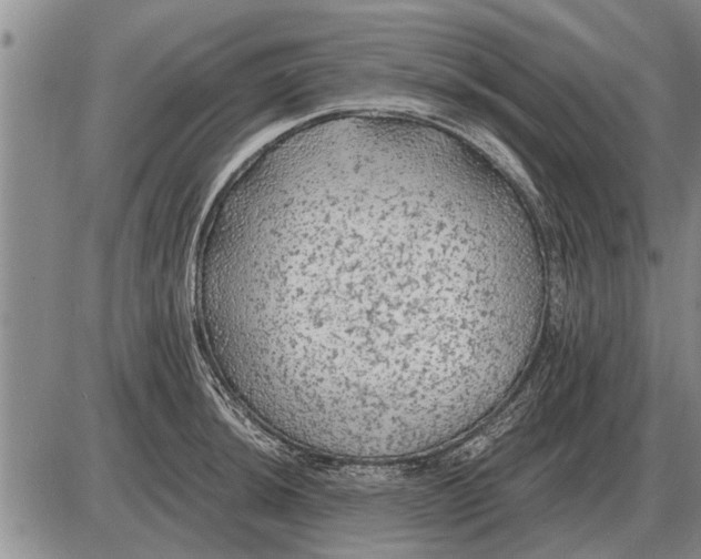 X0000085061044200703191320