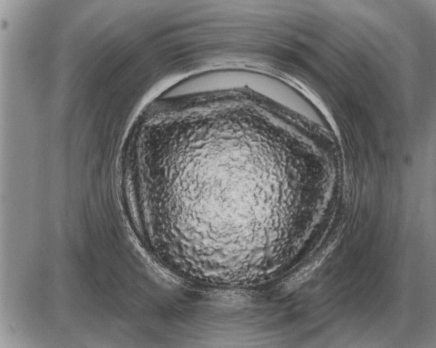 X0000085061045200703191320