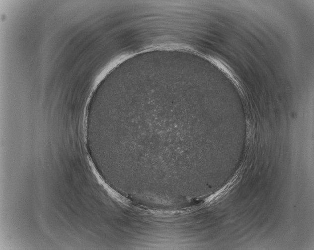 X0000085061046200703191320