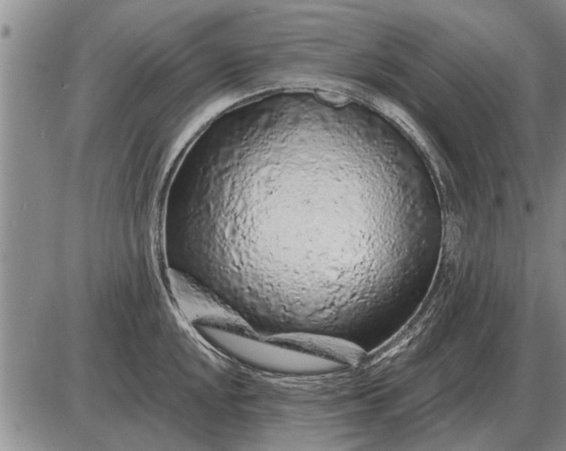 X0000085061048200703191320