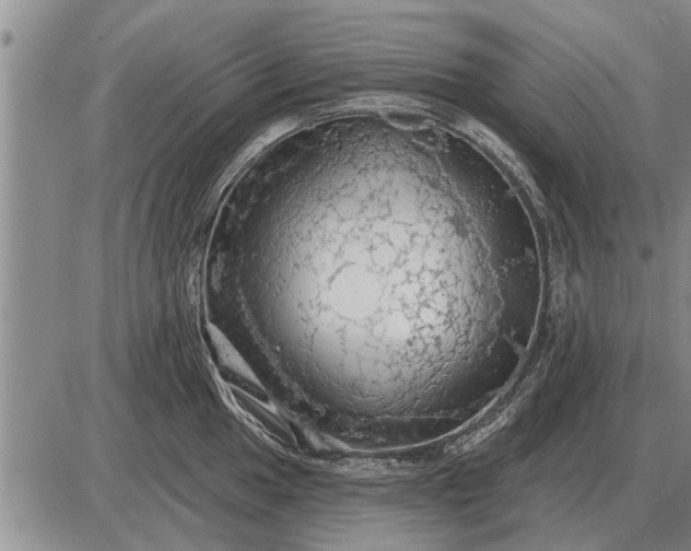 X0000085061049200703191320