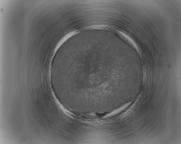 X0000085061050200703191320