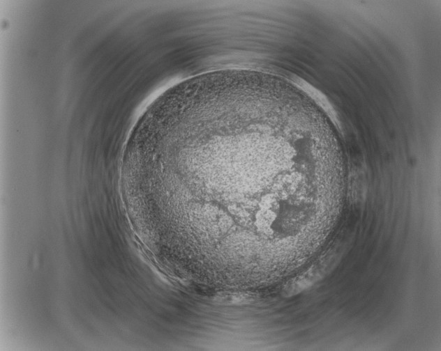 X0000085061051200703191320