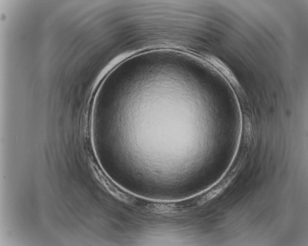 X0000085061052200703191320