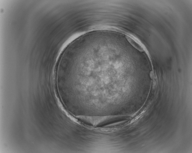 X0000085061053200703191320