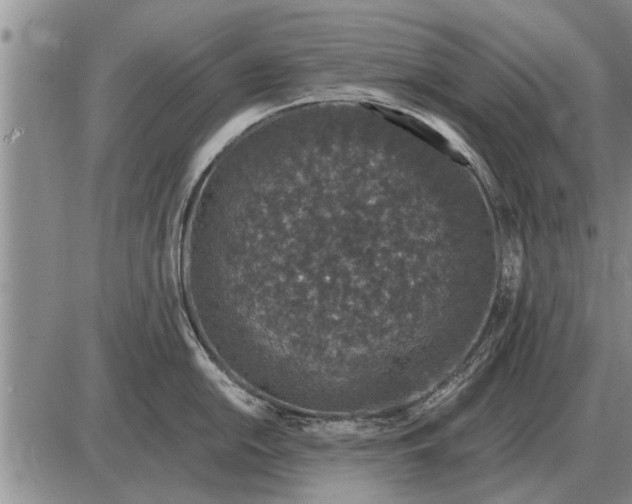 X0000085061054200703191320