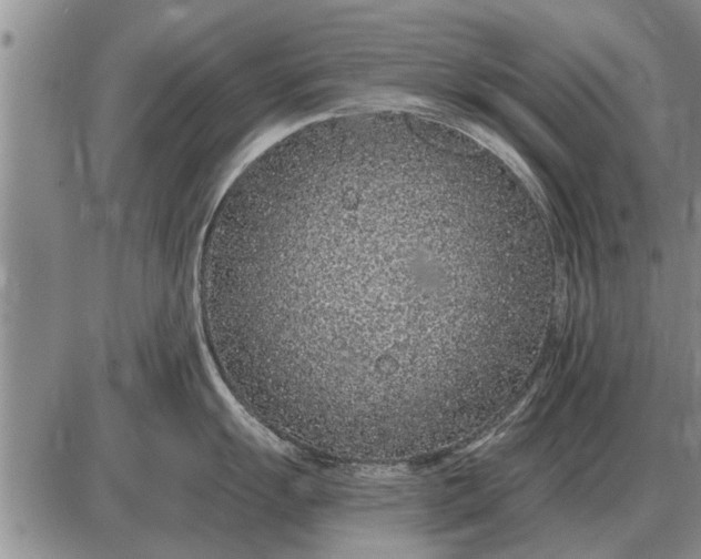 X0000085061055200703191320