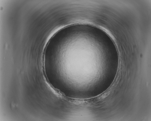 X0000085061056200703191320