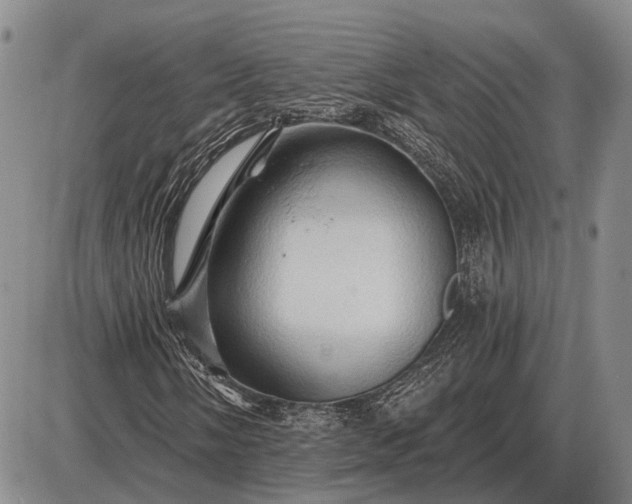 X0000085061058200703191319