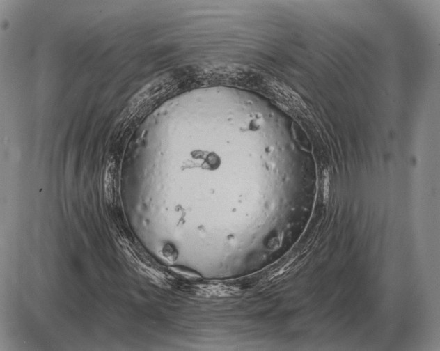 X0000085061059200703191319