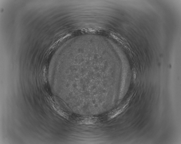 X0000085061060200703191319