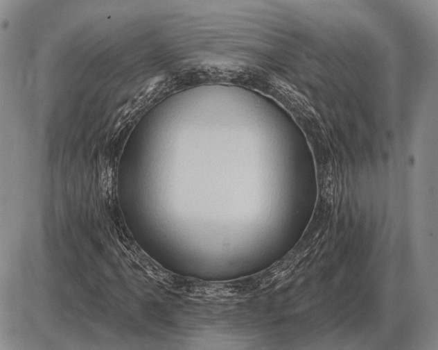 X0000085061061200703191319