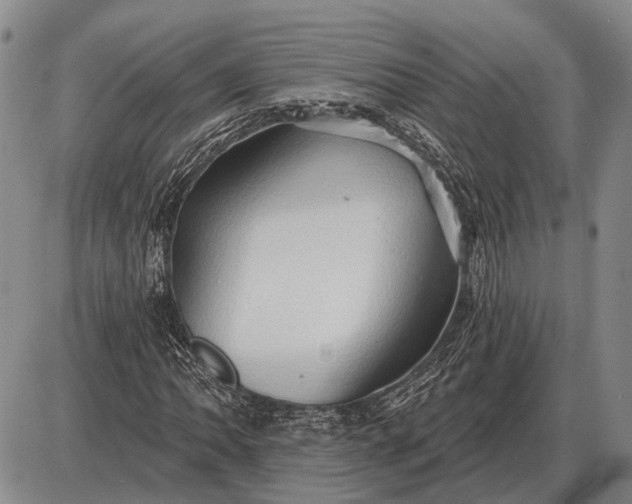 X0000085061062200703191319