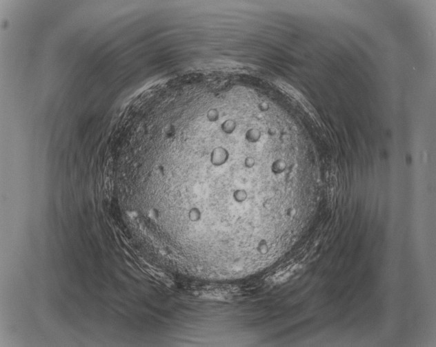 X0000085061063200703191319