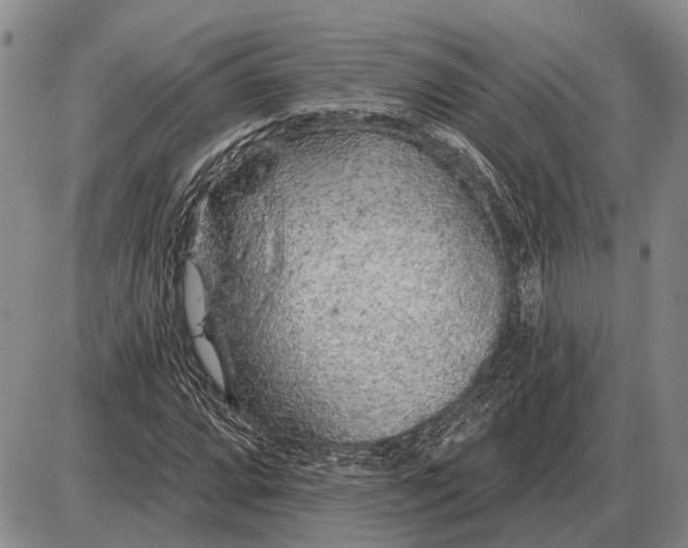 X0000085061064200703191319