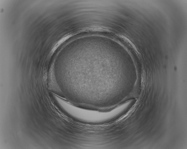 X0000085061065200703191319